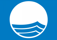 Blue-Flag-logo