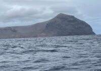 Veleiro Sorelle chega à Ilha de Santa Helena